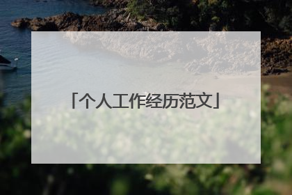 个人工作经历范文