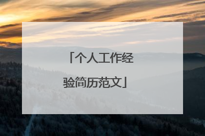 个人工作经验简历范文