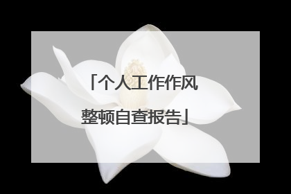 个人工作作风整顿自查报告