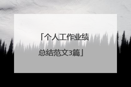 个人工作业绩总结范文3篇