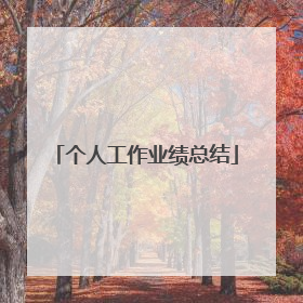 个人工作业绩总结