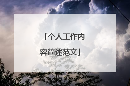 个人工作内容简述范文
