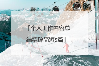 个人工作内容总结精辟简短5篇