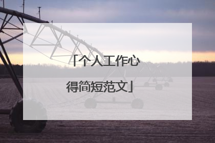 个人工作心得简短范文