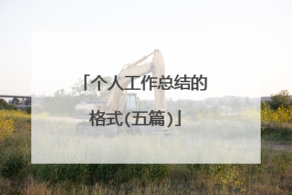 个人工作总结的格式(五篇)