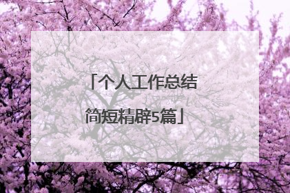 个人工作总结简短精辟5篇