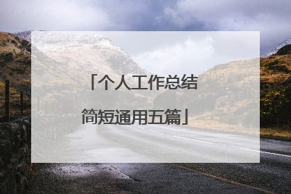 个人工作总结简短通用五篇
