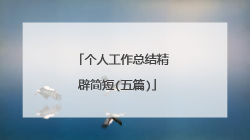 个人工作总结精辟简短(五篇)