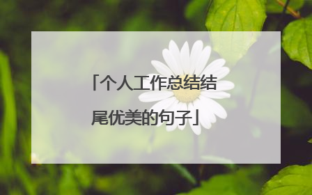 个人工作总结结尾优美的句子