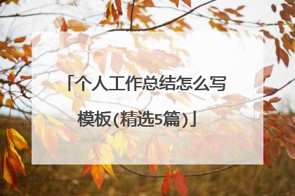 个人工作总结怎么写模板(精选5篇)
