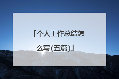 个人工作总结怎么写(五篇)
