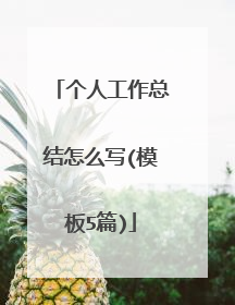 个人工作总结怎么写(模板5篇)