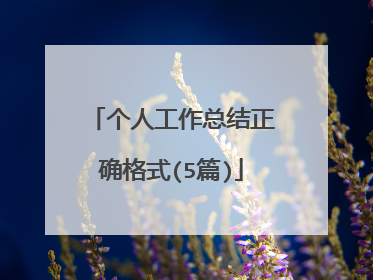 个人工作总结正确格式(5篇)