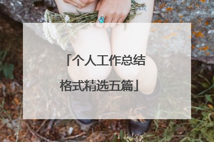 个人工作总结格式精选五篇
