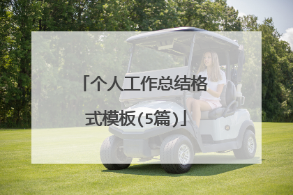 个人工作总结格式模板(5篇)