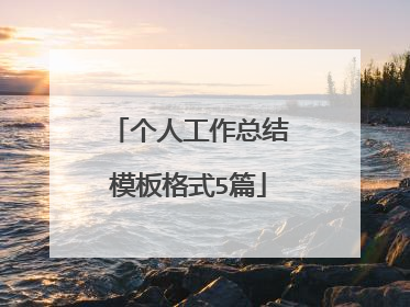 个人工作总结模板格式5篇
