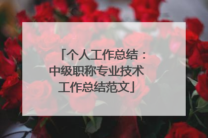 个人工作总结:中级职称专业技术工作总结范文