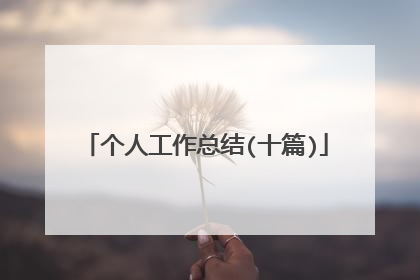 个人工作总结(十篇)