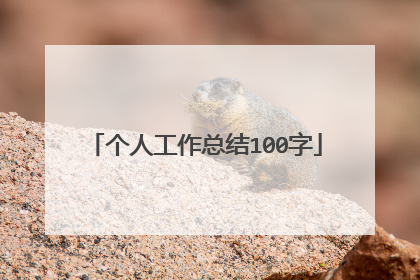 个人工作总结100字
