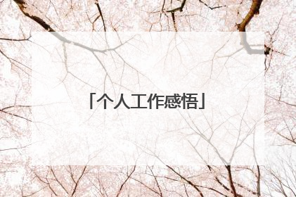 个人工作感悟