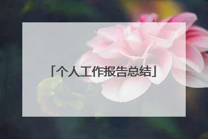 个人工作报告总结