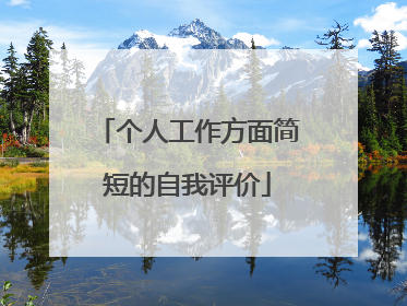 个人工作方面简短的自我评价