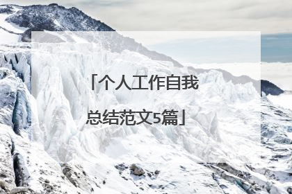 个人工作自我总结范文5篇