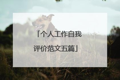 个人工作自我评价范文五篇