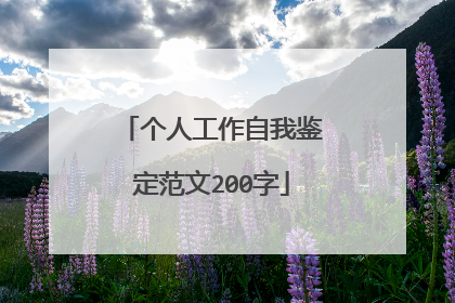 个人工作自我鉴定范文200字