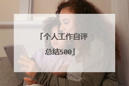个人工作自评总结500