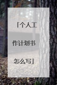 个人工作计划书怎么写