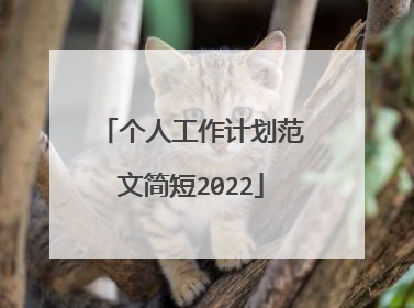 个人工作计划范文简短2022
