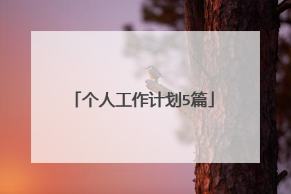 个人工作计划5篇