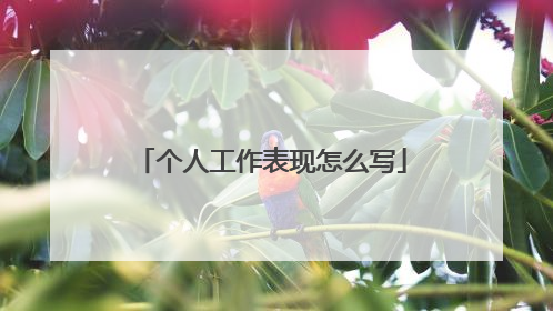 个人工作表现怎么写