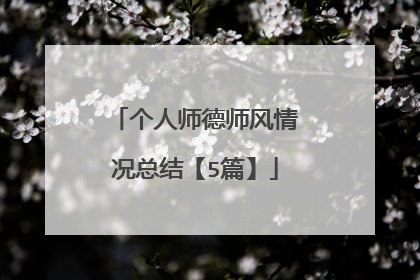 个人师德师风情况总结【5篇】