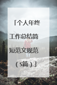 个人年终工作总结简短范文规范(5篇)