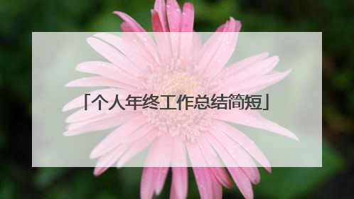 个人年终工作总结简短