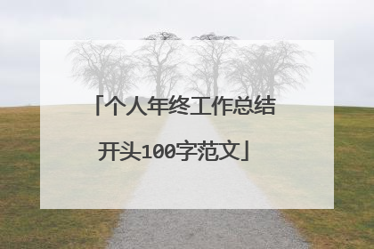 个人年终工作总结开头100字范文
