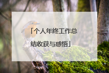 个人年终工作总结收获与感悟