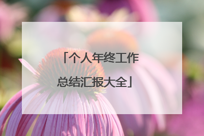 个人年终工作总结汇报大全