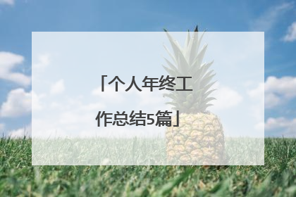 个人年终工作总结5篇