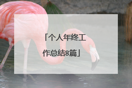 个人年终工作总结8篇