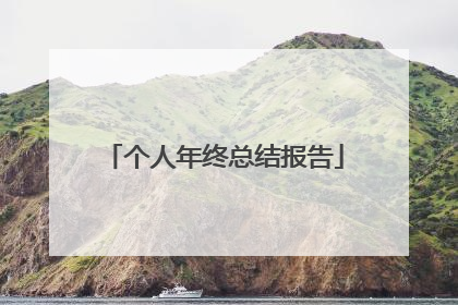 个人年终总结报告