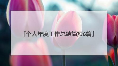 个人年度工作总结简短6篇