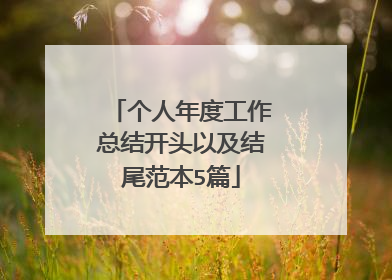 个人年度工作总结开头以及结尾范本5篇