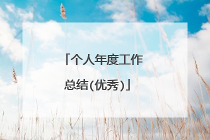 个人年度工作总结(优秀)