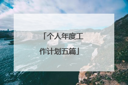 个人年度工作计划五篇