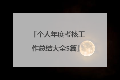个人年度考核工作总结大全5篇