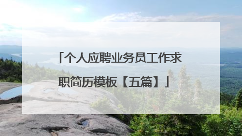 个人应聘业务员工作求职简历模板【五篇】