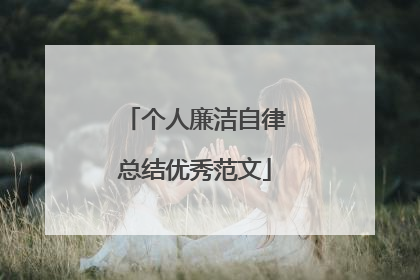 个人廉洁自律总结优秀范文